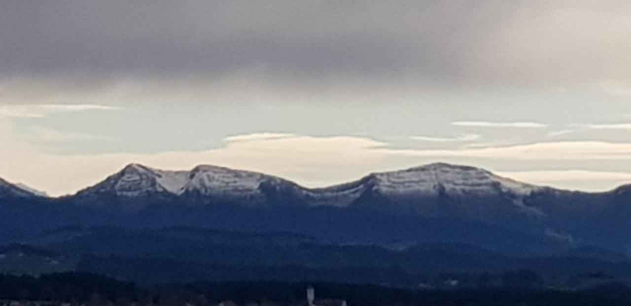 Leutkirch im AllgäuAlpenblickアパートメント エクステリア 写真