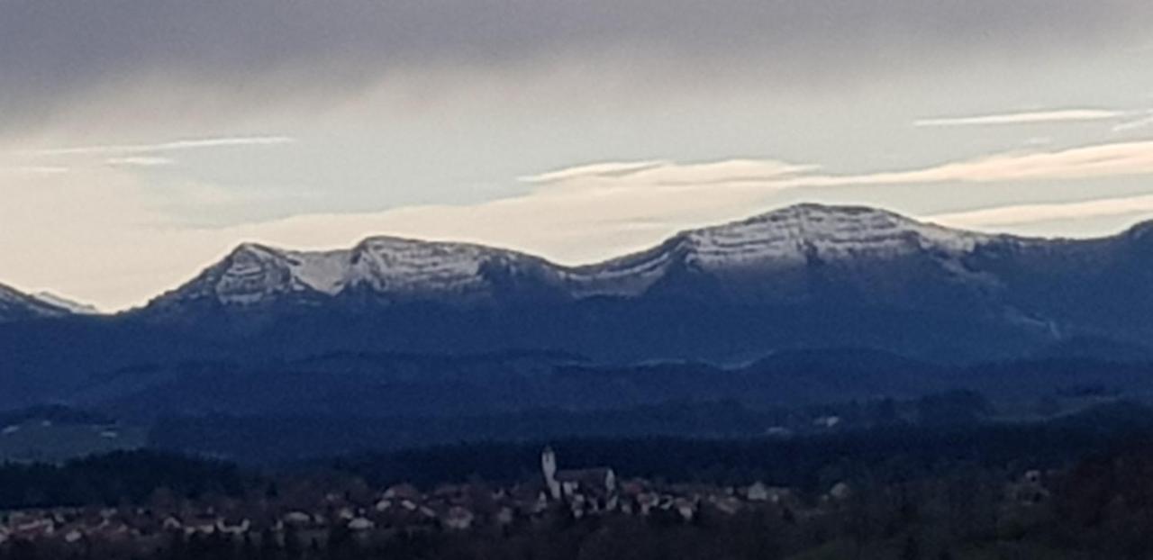 Leutkirch im AllgäuAlpenblickアパートメント エクステリア 写真