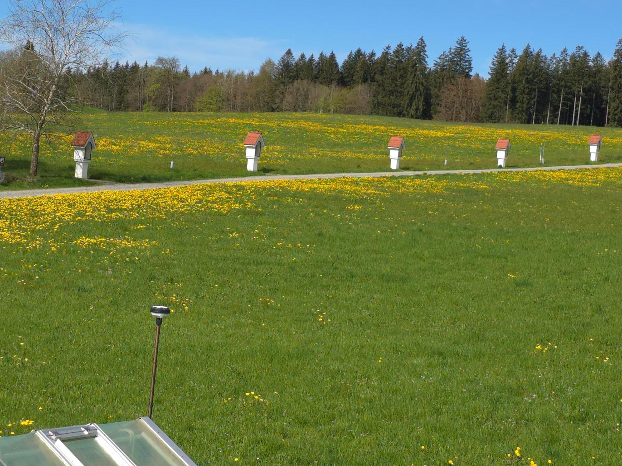 Leutkirch im AllgäuAlpenblickアパートメント 部屋 写真